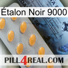 Étalon Noir 9000 44